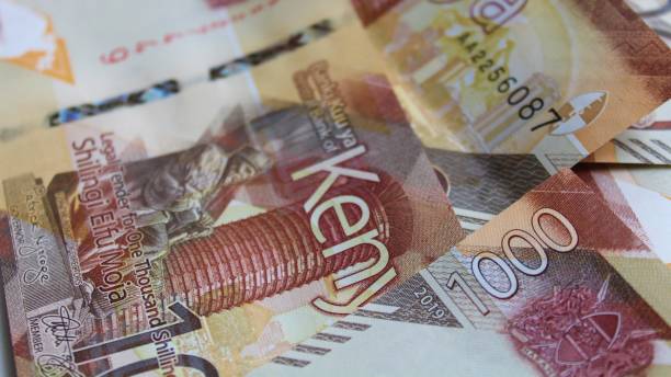 Flexible Repayment Terms
